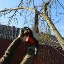 One Tripp Tree Service - Arborists