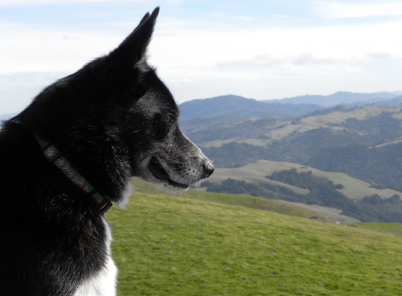 Veterinary House Calls - Pacific Grove, CA