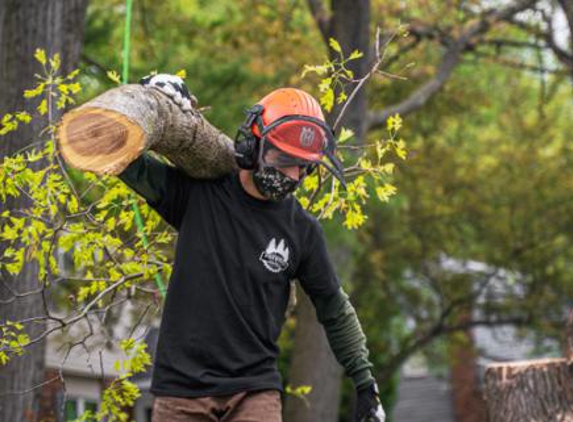 Prestige Tree Service - Philadelphia, PA