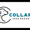 Collars Dog Resort - Pet Boarding & Kennels