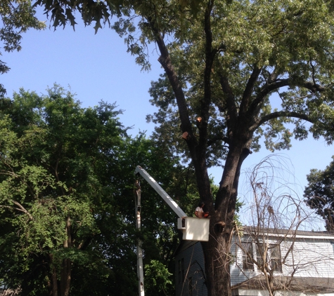 Killian's Tree Service - Fort Smith, AR