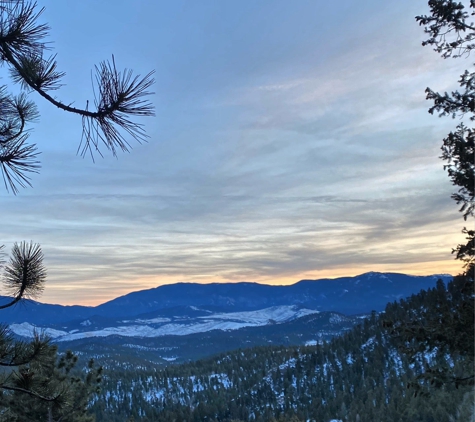 Buster's Natural Pet Supply - Conifer, CO