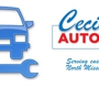 Cecil's Automotive, Inc.