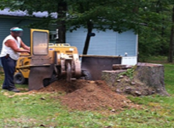 Fearer's Stump Removal - Bruceton Mills, WV