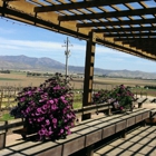 Paraiso Vineyards