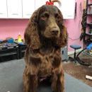 Woof Gang Bakery & Grooming Westlake - Pet Grooming