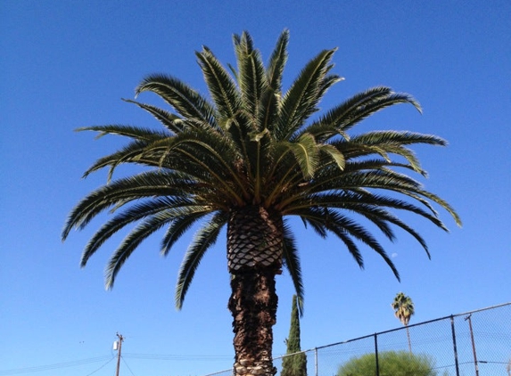 Mariposa Elementary - Brea, CA