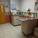 Blackbob Pet Hospital - Veterinarians