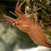 Coral Sea Aquariums gallery