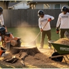 Grindtime Stump Grinding gallery