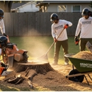 Grindtime Stump Grinding - Tree Service