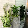 Forever Green Interior Landscaping gallery