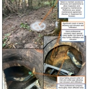 Zoom Drain - Drainage Contractors