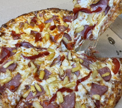 Domino's Pizza - Orefield, PA