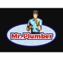 Mr. Plumber