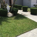 Medina's Landscaping & Lawn service - Landscaping & Lawn Services