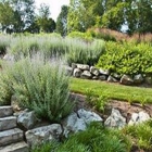 Creative Rockeries and Landscaping