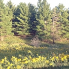 Lake Anita State Park