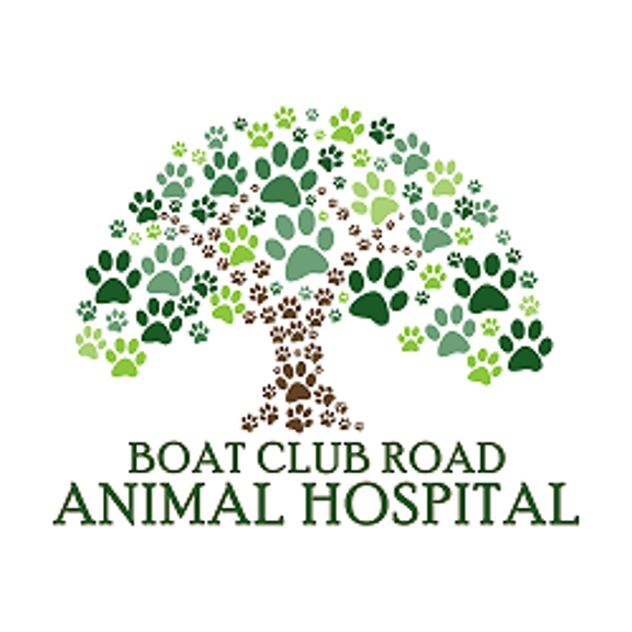 Boat Club Road Animal Hospital - Fort Worth, TX