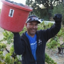 Pedroncelli Winery