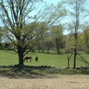 Rolling Meadows Stables - Horse Stables