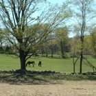 Rolling Meadows Stables