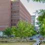 MUSC Health Clinical Sciences Building