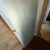 Convenient Mold Testing and Remediation gallery