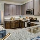 Allure Apollo - Real Estate Rental Service