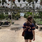 Ted's Greenhouse