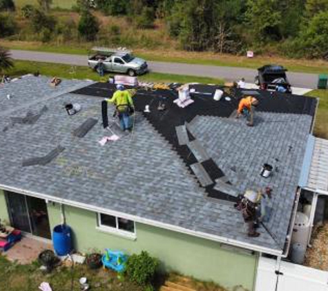 Blue Dog Roofing & Construction - Fort Myers, FL