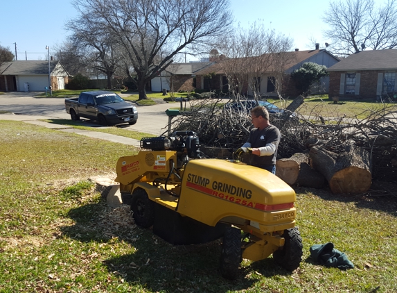 Texas Treehouse Tree Service & Stump Grinding - Mesquite, TX