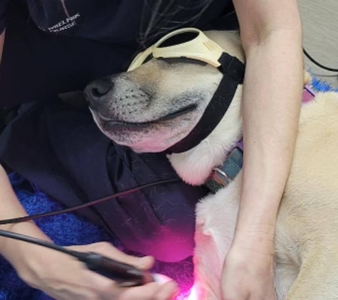 Barossa Veterinary Service - Kapunda, SA