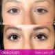 Deka Lash- West Bloomfield