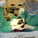 VCA Alaska Pet Care Animal Hospital - Veterinary Clinics & Hospitals