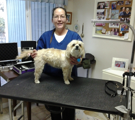 All Pets Mobile Grooming, LLC - Estes Park, CO. After