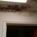 Master Home Restoration - Mold Remediation