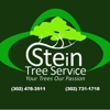 Stein Tree gallery