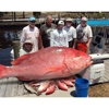 Mexico Beach Charters gallery