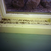 Gallery Image Number 2
