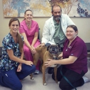 Towne Center Animal Hospital - Veterinary Clinics & Hospitals