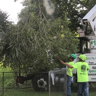 Tree Care - Brooksville, FL. Removing Branch from Large Oak Tree over Fence