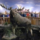 Cabela's - Camping Equipment