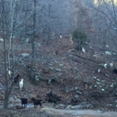 Horseshoe Canyon Ranch - Ranches