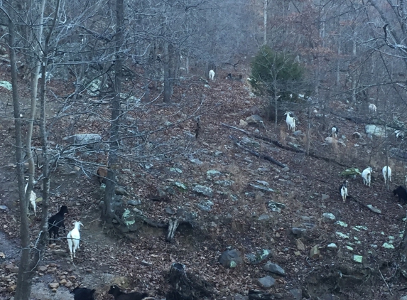 Horseshoe Canyon Ranch - Jasper, AR