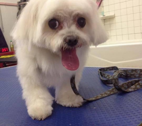 TLC Pet Shop & Grooming - Tustin, CA