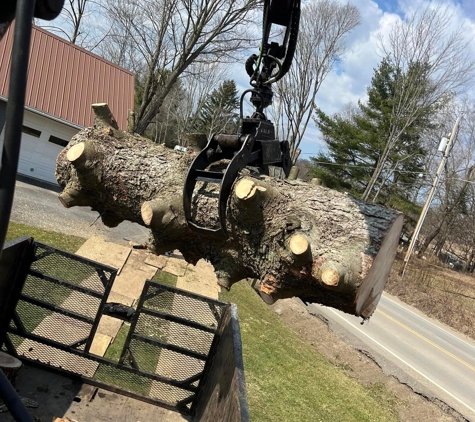 J & J Tree Services - Herkimer, NY