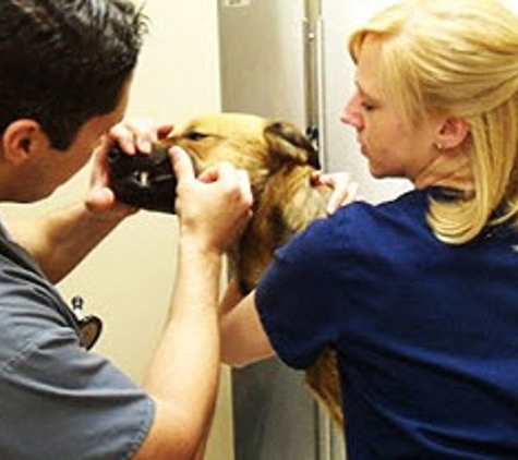 Twins Veterinary Hospital - Bay Shore, NY