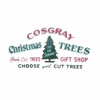 Cosgray Christmas Trees, L.L.C. gallery