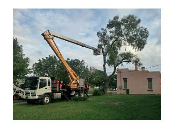 D&C TREE SERVICES P/L